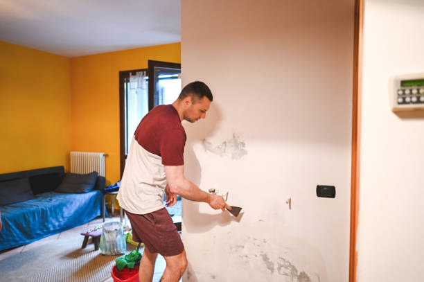 Attic Mold Removal in Falconer, NY